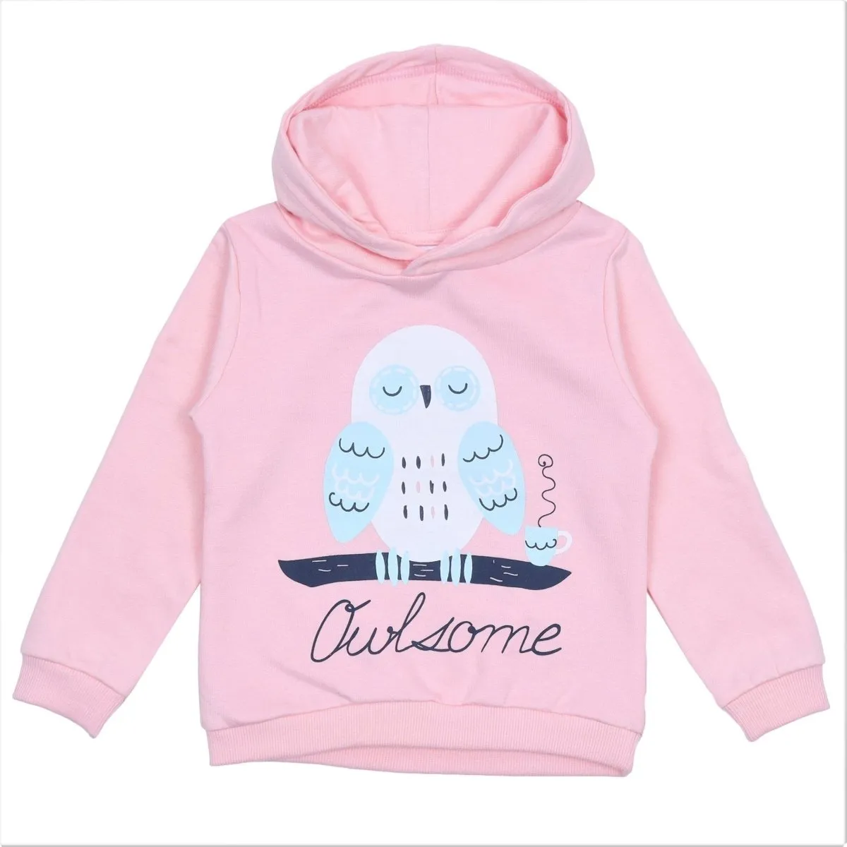 Hooded Sweatshirt Combo of 2-Meow or Never-Owlsome